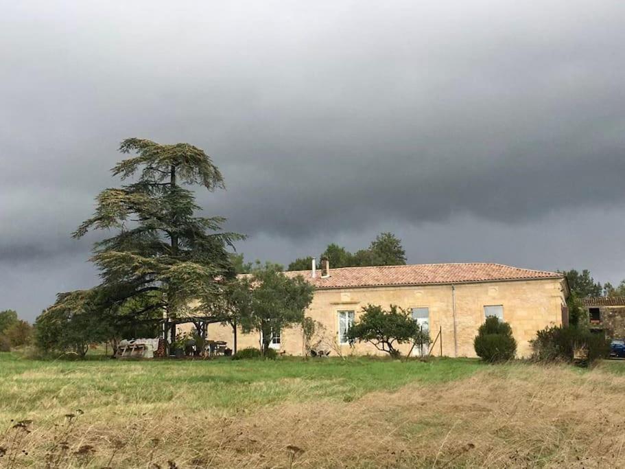 Beau Gite Dans Domaine Viticole & Arboricole Cursan Exteriör bild