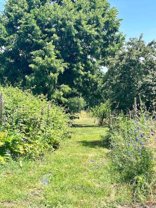 Beau Gite Dans Domaine Viticole & Arboricole Cursan Exteriör bild